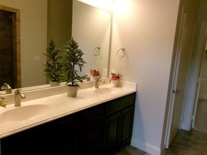 883  Birds Fort Trail , Arlington Texas 76005