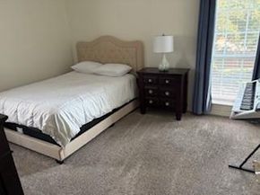 1718 E Branch Hollow Drive , Carrollton Texas 75007