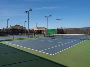 3861  Dalea Drive , Prosper Texas 75078
