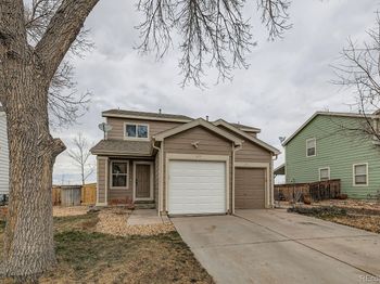 677 Mockingbird Street