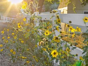 5321 S Nelson Street, Littleton CO 80127