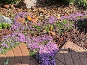 14881 E 116th Drive, Commerce City CO 80603