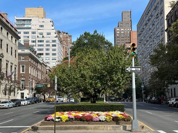 650 Park Avenue 9A, New York NY 10065
