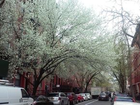 103 East 10th Street 3C, New York NY 10003