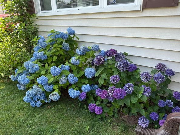 79 Wooster Avenue, Stratford CT 06615