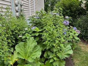 48 Bywater Lane 48, Bridgeport CT 06605