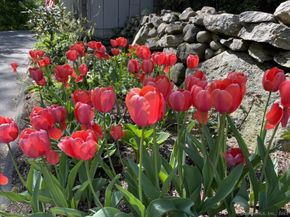 256 Mill Road, New Canaan CT 06840