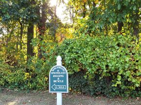 48 Kate Circle, Middle Island NY 11953