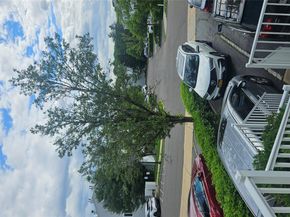 242-12A oak park Drive 99A, Douglaston NY 11362