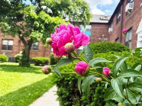 202-06 Rocky Hill Road 6C1, Bayside NY 11361