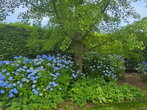 1680 Lands End Road, Orient NY 11957