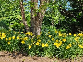 1680 Lands End Road, Orient NY 11957