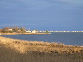59 Watchogue Avenue 25, East Moriches NY 11940