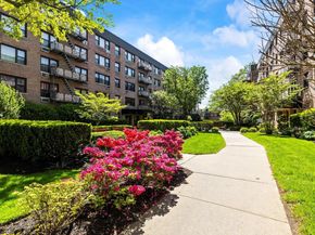 5 Birchwood Court 3N, Mineola NY 11501