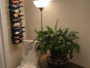 433 Browns Road, Nesconset NY 11767