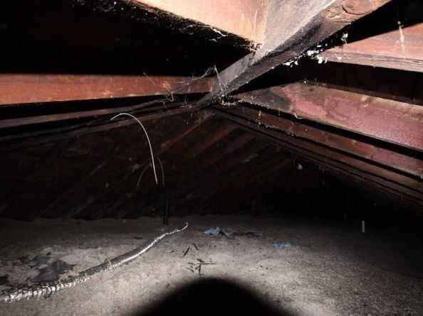 78 Green Hill Pkwy, Worcester MA 01605