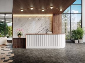 1515 Commonwealth Ave 303, Boston MA 02135