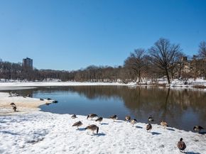 70 Jamaicaway 5, Boston MA 02130