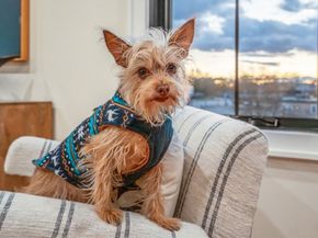 34 Vinton Street PH4, Boston MA 02127