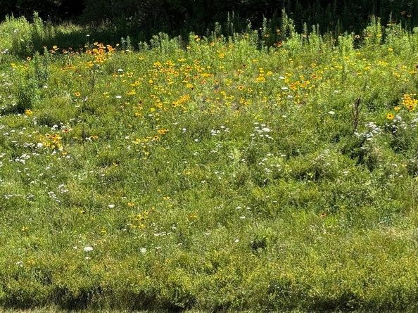 10 Soucy Drive ., Rutland MA 01543