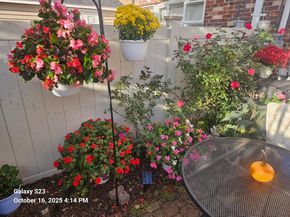 210 Windsor Drive 210, Framingham MA 01701