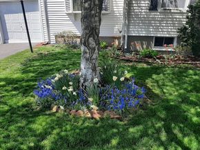 43 Vinal Street, Revere MA 02151