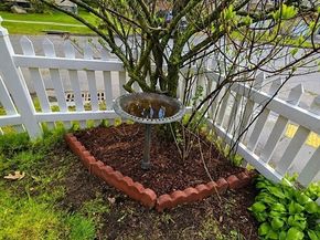 41 Bridgeport Street, Worcester MA 01604