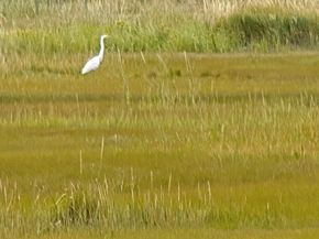 11 Sunset, Newbury MA 01951