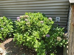 56 Bunnys Road, Carver MA 02330