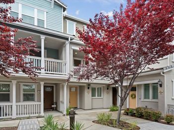 106 Lemmon Terrace