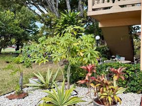 20275 NE 2nd Ave 16, Miami FL 33179
