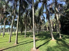 14431 Mustang Trl, Southwest Ranches FL 33330