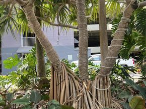 850 N Miami Ave W1806, Miami FL 33136