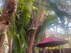 7469 NW 112th Pl, Doral FL 33178