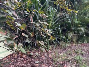 655 NE 82nd St, Miami FL 33138