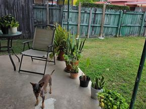 Undisclosed Address #A11943673, Miami FL 33144