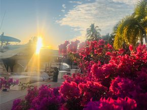 3640 Yacht Club Dr 609, Aventura FL 33180