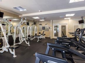 6001 SW 70th St 115, South Miami FL 33143