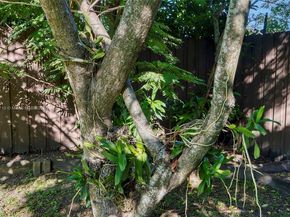 22000 SW 127th Ave, Miami FL 33170