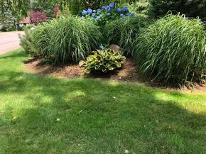 57 Brierbrook St, Milton MA 02186