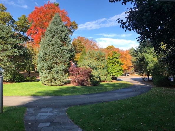 57 Brierbrook St, Milton MA 02186