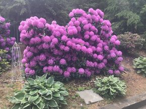 57 Brierbrook St, Milton MA 02186