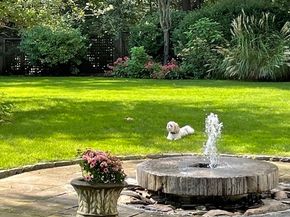 151 Oakland Street, Wellesley MA 02481