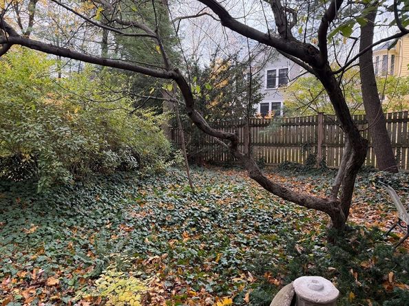 18 Donnell St, Cambridge MA 02138