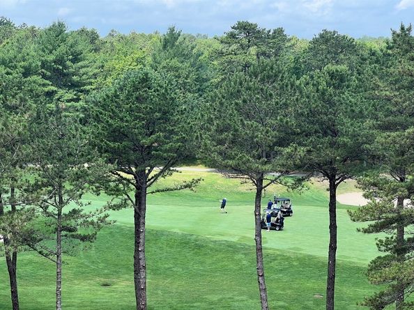 61 Bentgrass Mist 61, Plymouth MA 02360