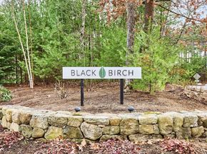 29 Black Birch Lane 29, Concord MA 01742