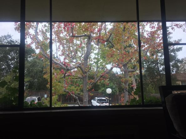 2140 Santa Cruz Avenue A201, Menlo Park CA 94025