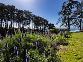 221 Seascape Resort Drive, Aptos CA 95003