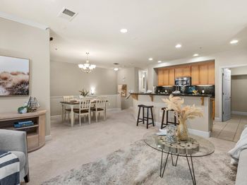 1437 Marcello Drive