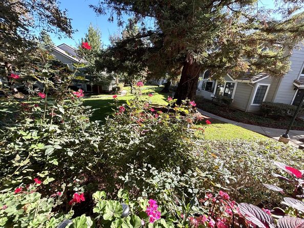 2561 Yerba Bank Court, San Jose CA 95121